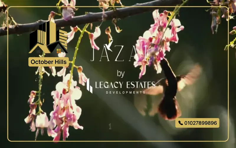 كمبوند جازال الشيخ زايد Jazal El Sheikh Zayed شركة Legacy Estates
