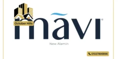 شركة Mavi للتطوير العقاري Mavi Developments