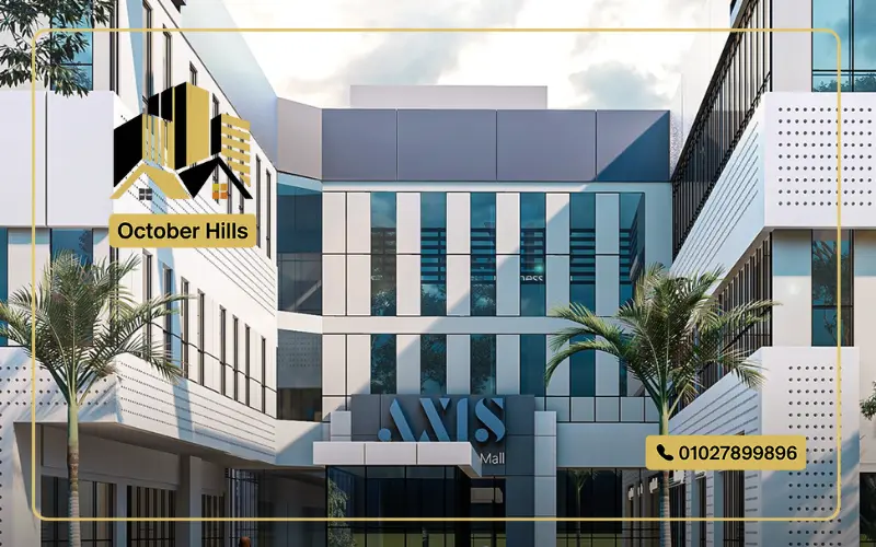 Axis Three Business 6 October