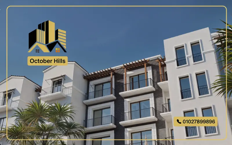 مشروع روح الشيخ زايد