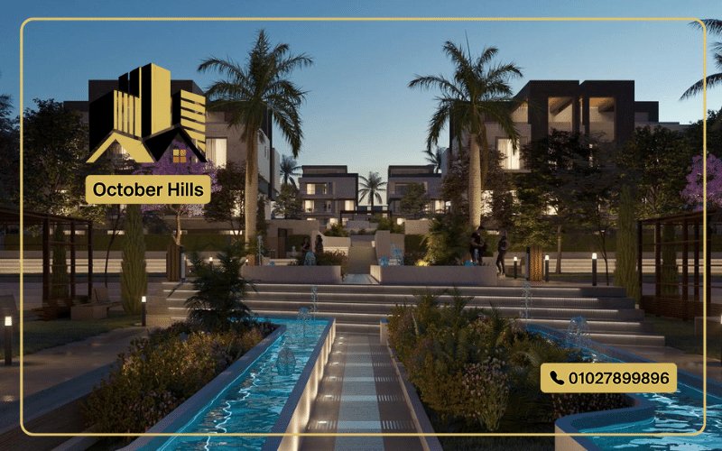 مشروع اليفيشنز نيو زايد