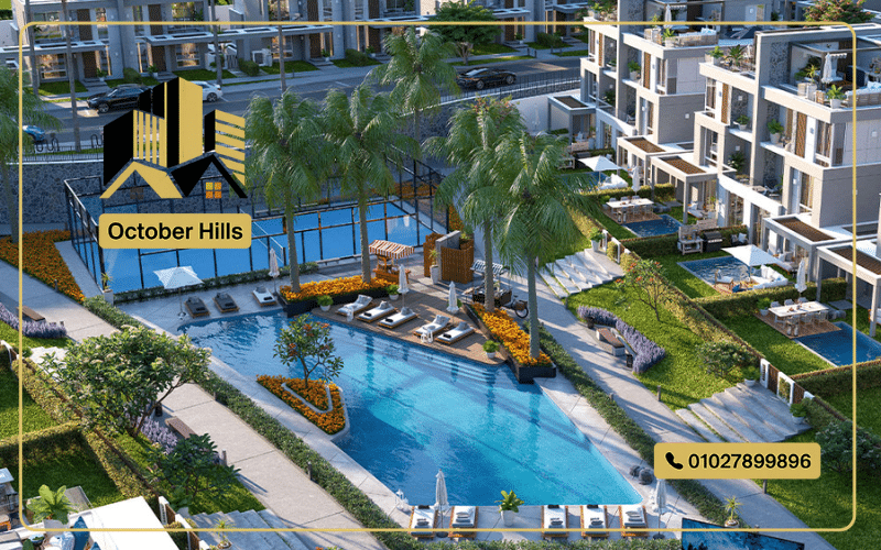 Zayard Elite New Zayed