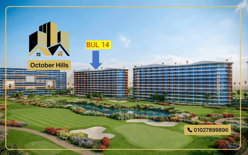 بورتو جراندي عامر جروب