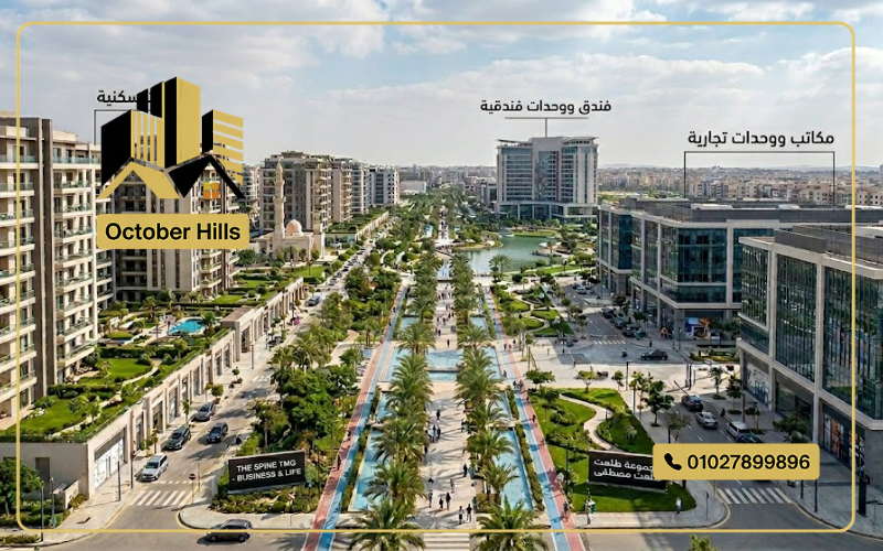 مشروع the spin tmg