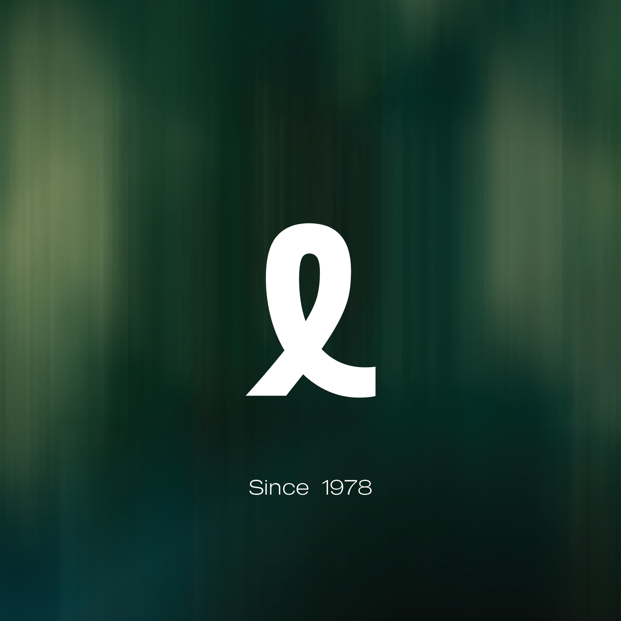 لوجو المطور