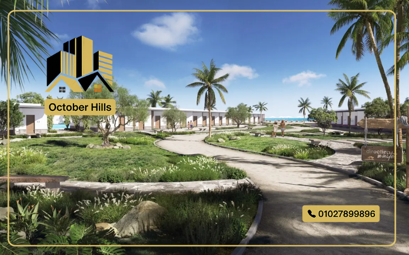 عمق مشروع دايركشن وايت