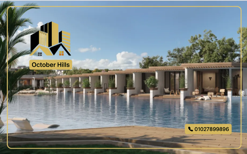 مشروع دايركشن وايت