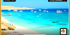 تفاصيل مشروع الديار القطرية البحر الأحمر Qatari Diar Red Sea